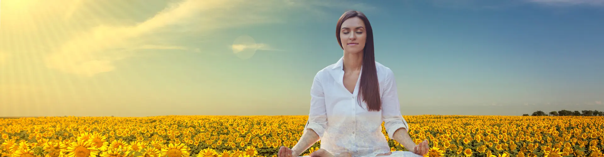 Bundle: Sommersonnenwende-Symposium - Online Course by Learn It Live