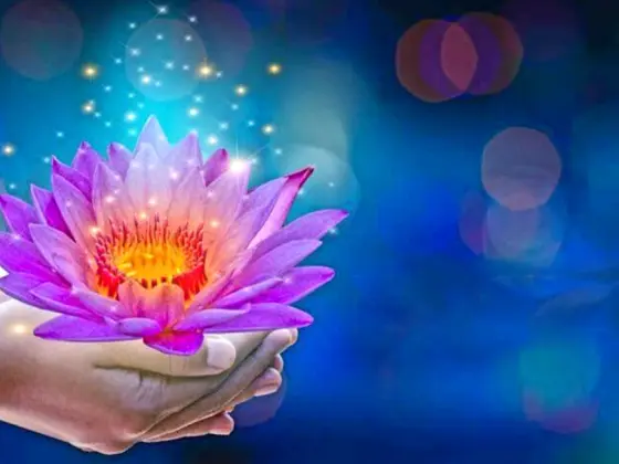 Fim de Semana de Mestre em Reiki Nível 3