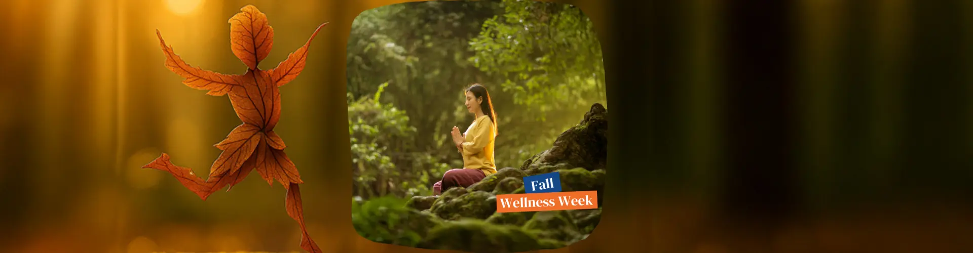 Abbraccio d'autunno: una meditazione Reiki per l'equinozio d'autunno - Online Class by Jerry Mikutis