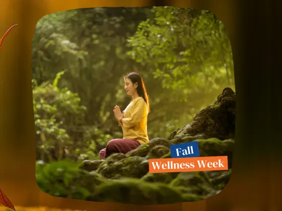 Abbraccio d'autunno: una meditazione Reiki per l'equinozio d'autunno